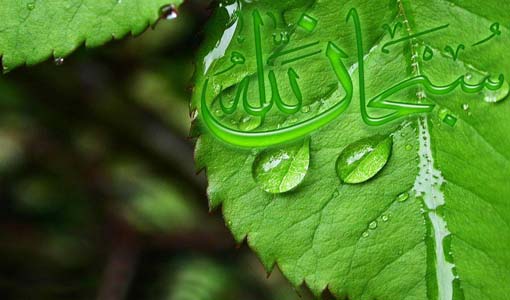 رحمات لابد لها من تفكر