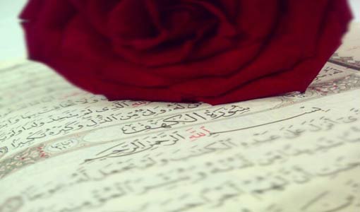 المنطق القرآني.. وجداني عقلي