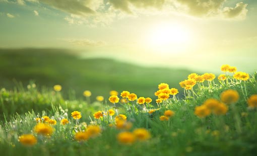 الأمل بالرحمة الإلهية