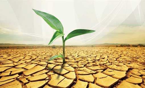 الفقر الروحي والفكري