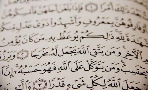 المستبشرون والخائفون