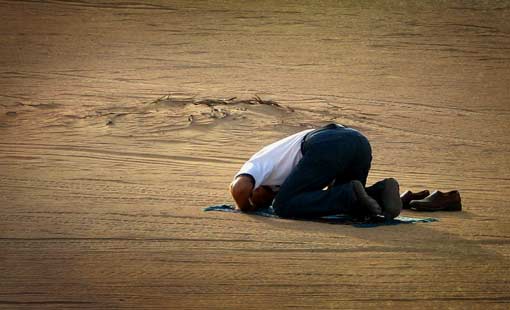 فضيلة الاستقامة وثمرتها