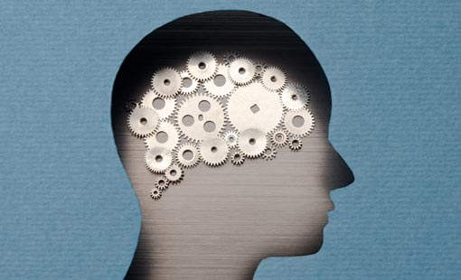 ما نوع العقل الذي تحمل؟