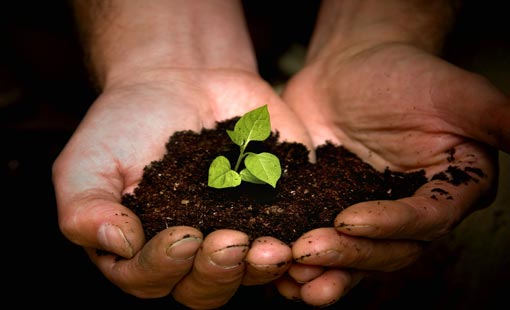 توثيق المحبة بالإيثار