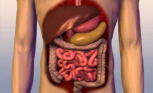 أخطاء تُدمر جهازك الهضمي