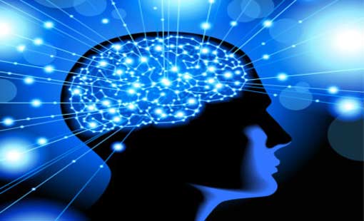 الإدراك والواقع وعقل الإنسان