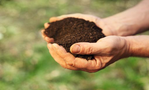 الصبر.. حكمة ربانية