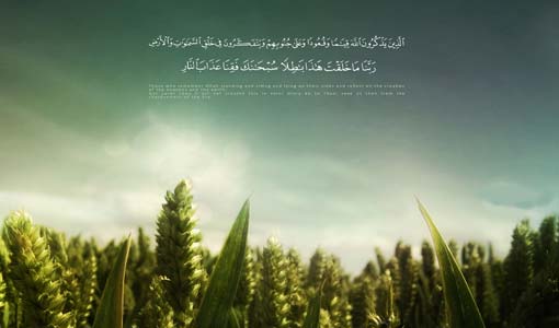 الكون مخلوق بحكمة ولهدف