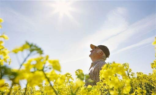 ناسا تعلن فشلها في ملامسة الشمس