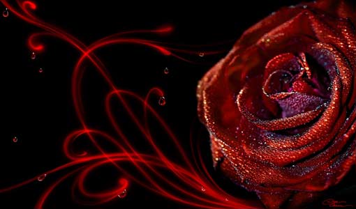 العاطفة مهمة جداً في حياتنا