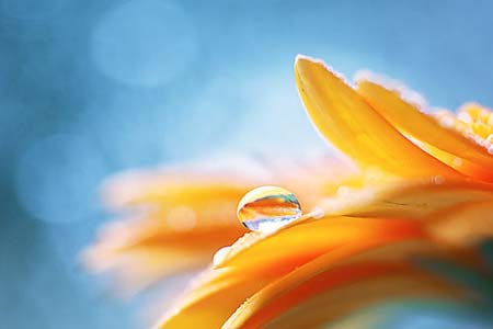 عبيرك ملأ البلاد