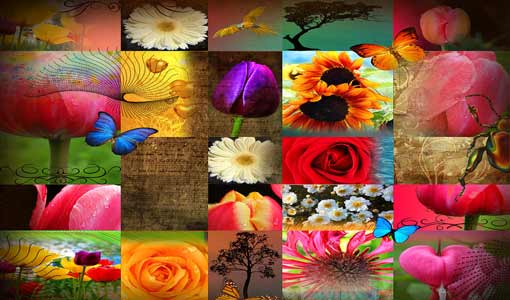 رحلة إلى عالم السعادة