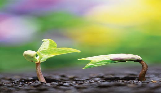 كيف نصل الى التوفيق في حياتنا؟