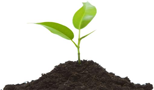 كيف أكون متفوقة في حياتي؟