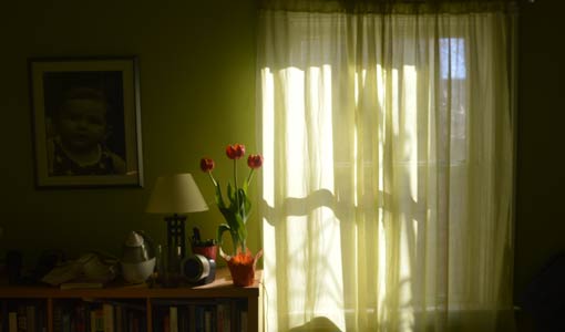 الصباح الأخير