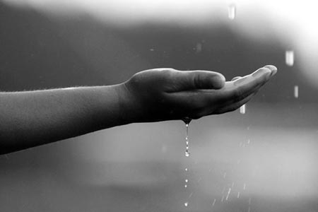 حينما تنقطع الأسباب