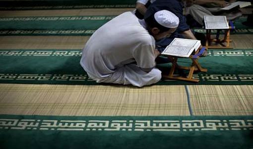 عناصر المجتمع في القرآن الكريم/ ج (1)