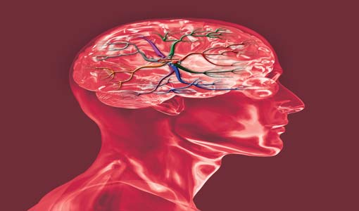 فيتامينات للعقل