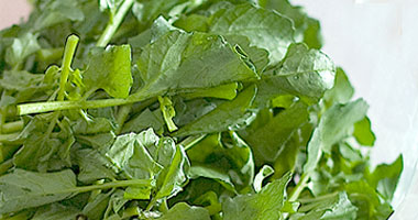 أقوى الأطعمة التي تقاوم الإلتهابات