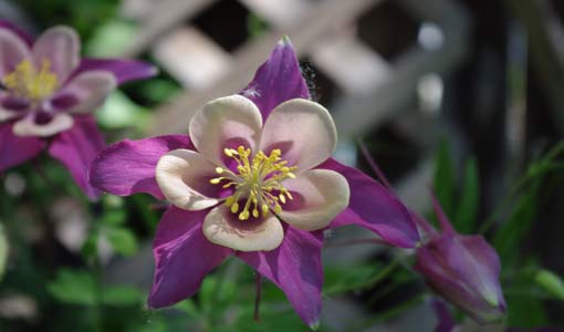 أزمة ما بعد الأربعين.. حقيقتها وأسبابها