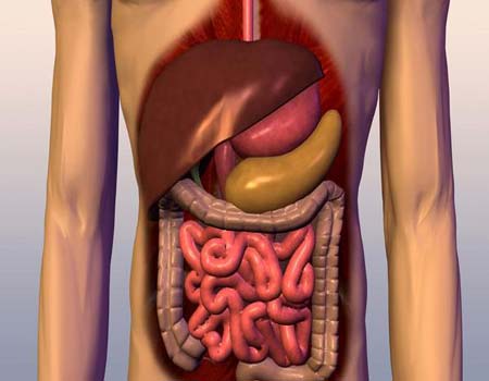 الشهر الكريم: فوائد صحية كثيرة شرط الالتزام بالمحاذير