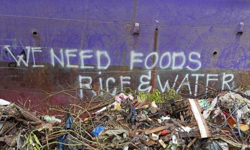 المتعلقات الناجية من إعصار هايان (بالصور)