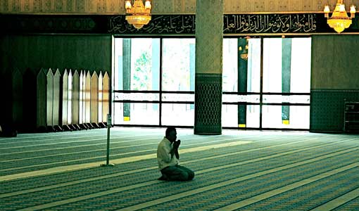 فوائد مهمة لإستثمار خير الشهور