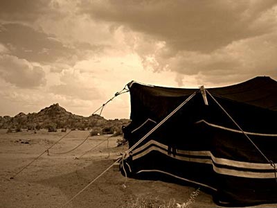 الجريمة الكاملة