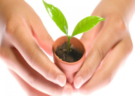 حصاد شهر الصيام