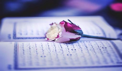 القرآن.. رسالة ربنا إلينا