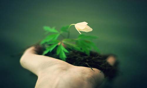 كيفية الوصول إلى القناعة الدينية