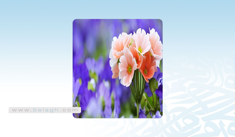 كن متفائلا.. وابتسم