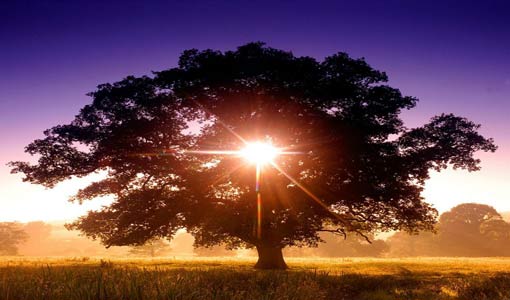 لقاء الغروب والشروق