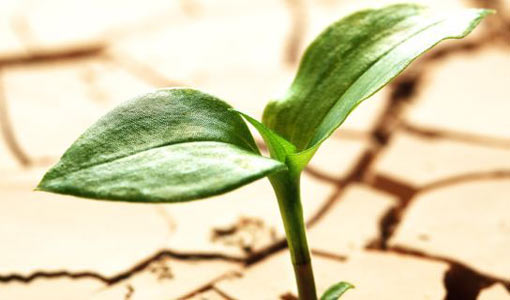 الموعظة.. خطاب العقل والوجدان