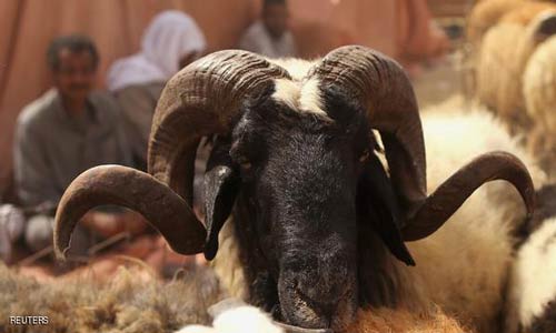 كيف تنفذ الخطة الجيدة لمشروعك؟