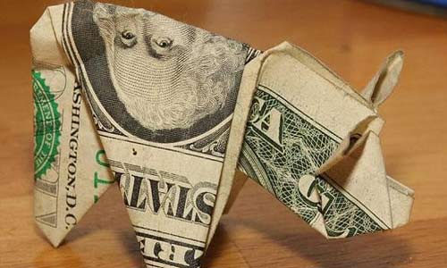 المخالفات.. طرافة رغم الإحباط