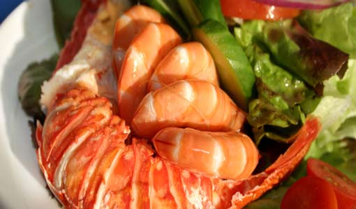 هل من فوائد صحية حقيقية للنباتات البحرية؟