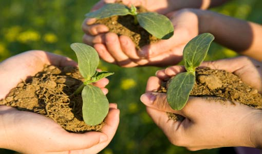 مسؤوليّاتنا مشتركة