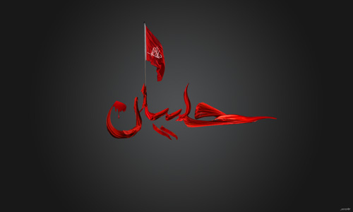 القضية الحسينية.. عمق إسلامي وتطلعات إنسانية