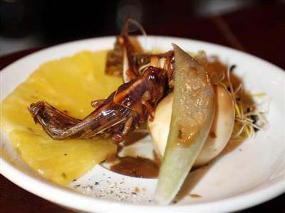 الخنافس والعقارب تزحف إلى قائمة اطباق المطاعم الفرنسية