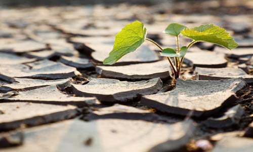 الصبر والإمتحان