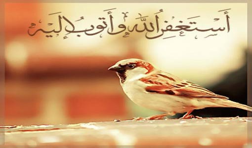 ثناء الجنان واللسان على الملك الديَّان