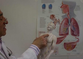 علاج سلس البول بالأعشاب