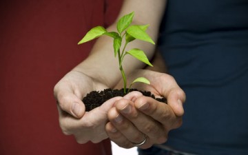 المصارحة بين الأزواج.. الوجه الحقيقي للتفاهم