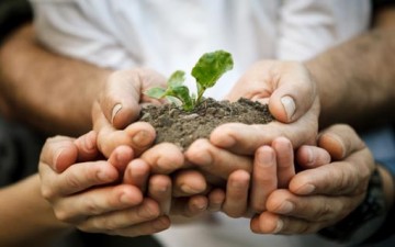 تدريب الأبناء على مبدأ التعاون