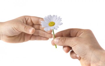 طريقتنا لتغذية العلاقة تحدد مستقبلها وشكلها