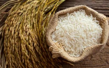 الأرز يخلو تماماً من الغلوتين