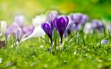 افتحي نوافذك على جيرانك