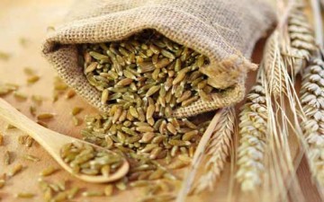 القمح والبرغل