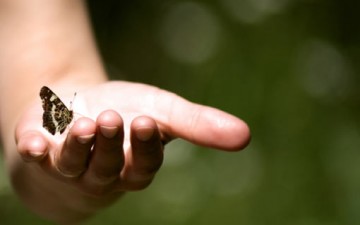 اختبري مدى صدق حدسك؟